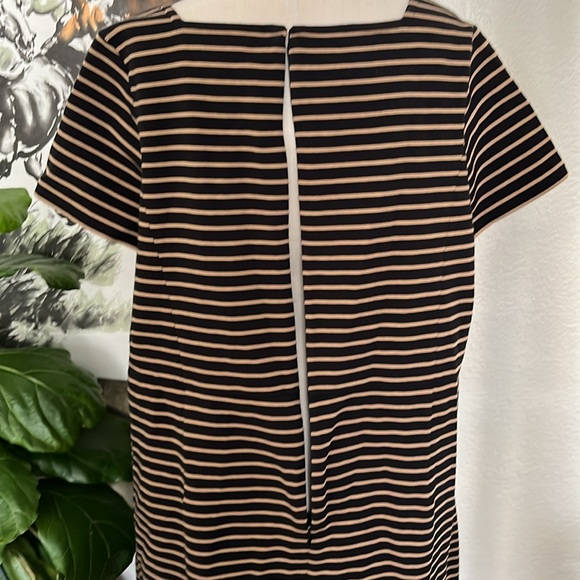 Talbots Size 16 W - Picture 5 of 7